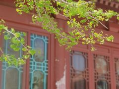 -元大都城垣遗址公园