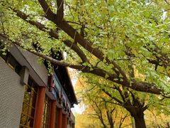 -四川大学(华西校区)