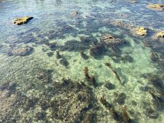 -三亚西岛海洋文化旅游区