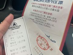 -迪士尼乐园停车场