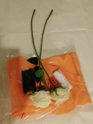 -Cocodemer女性健康·产后恢复(天一广场店)