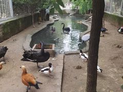 -水绘园