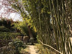 -春晖园度假酒店温泉