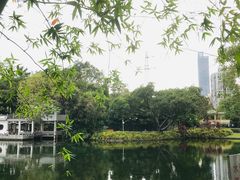 -晓港公园