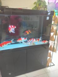 -悦颜美佳·美容·美甲美睫