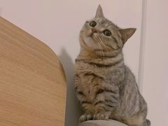 -今日炊牛·潮汕牛肉火锅(华采天地店)