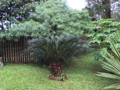 -森波拉火山温泉