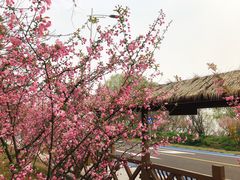 -苏州吴中太湖旅游区