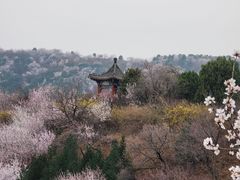 -北京西山国家森林公园