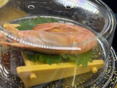 -争鲜回转寿司(浦东三钢里PLUS店)