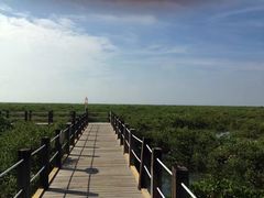 -北海金海湾红树林生态旅游区