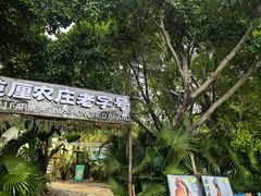 -芭厘农庄老字号·清远鸡