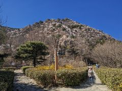 -北京鹫峰国家森林公园