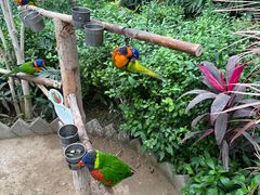 -南宫五洲植物乐园