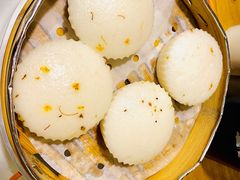 -新白鹿餐厅(百联中环店)