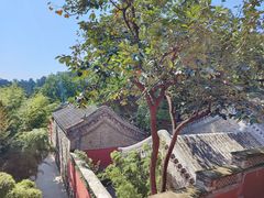 -潭柘寺景区