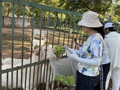 -秦皇岛野生动物园