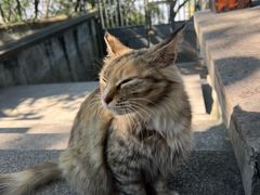 -舟山希尔顿酒店