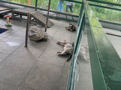-秦皇岛野生动物园