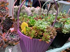 -KKV(深圳宏发大仟里店)