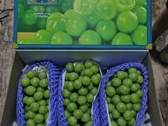 -西北农副产品中心批发市场(广安路店)