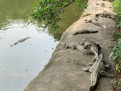-广州长隆飞鸟乐园