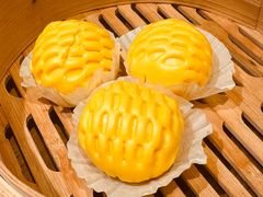 -寨子里的钵钵菜-湘西山里菜(火车站店)