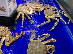 -盒马鲜生(新都心店)