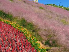 -沂蒙云瀑洞天景区