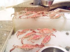 螃蟹-咖啡苑自助餐厅·中国大饭店