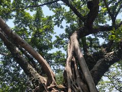 -鹅岭公园瞰胜楼