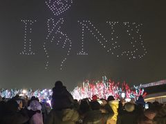 -南京眼步行桥