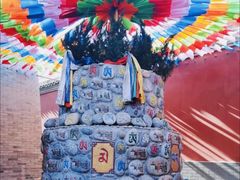 -西安市广仁寺