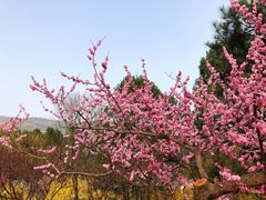 -国家植物园