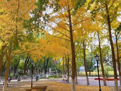 -山东大学(趵突泉校区)