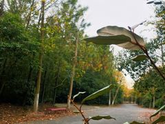 -上海海湾国家森林公园