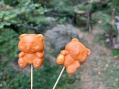 -红山森林动物园