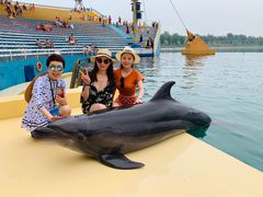 -秦皇岛乐岛海洋王国