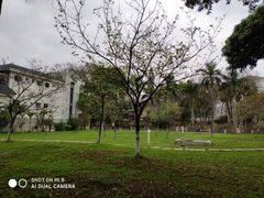 -广东外语外贸大学(白云山校区)