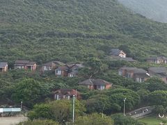 -杨梅坑