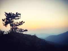 -莫干山风景区