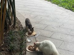 -晓港公园