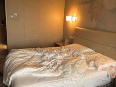 -北京广安门维景国际大酒店