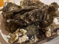 -碧中海汤泉汗蒸酒店