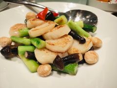 -东富酒家(龙湖西溪天街店)