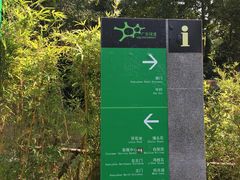 景点-火炉山森林公园