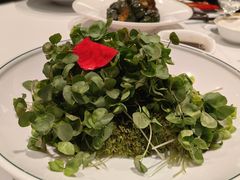 -上海1号私藏菜(静安店)