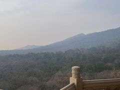 -灵谷景区