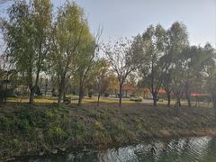 -泗洪洪泽湖湿地景区