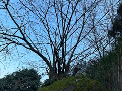 -綦江古剑山